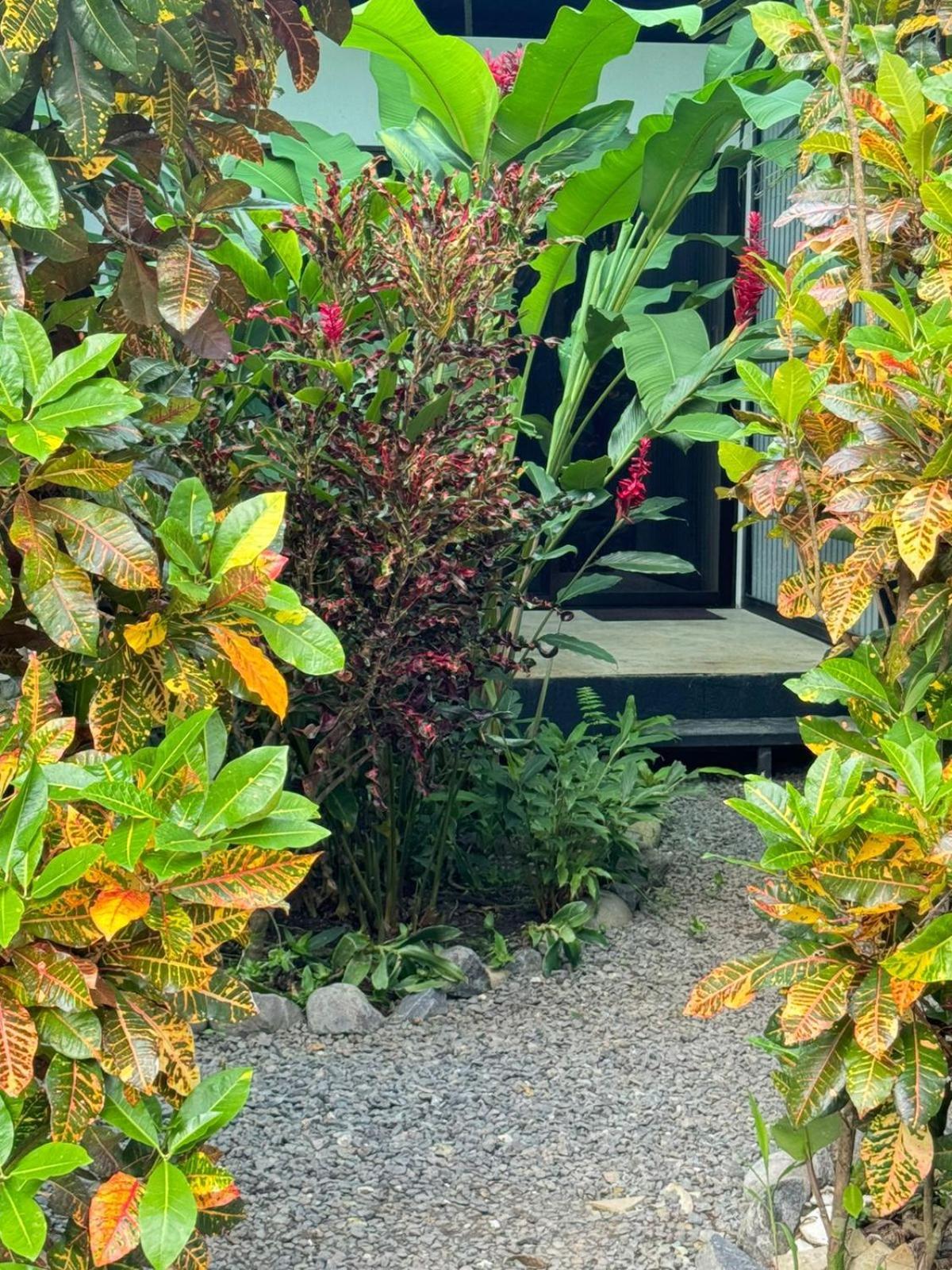 Luz De Estrella Studios Cabuya  Exterior photo