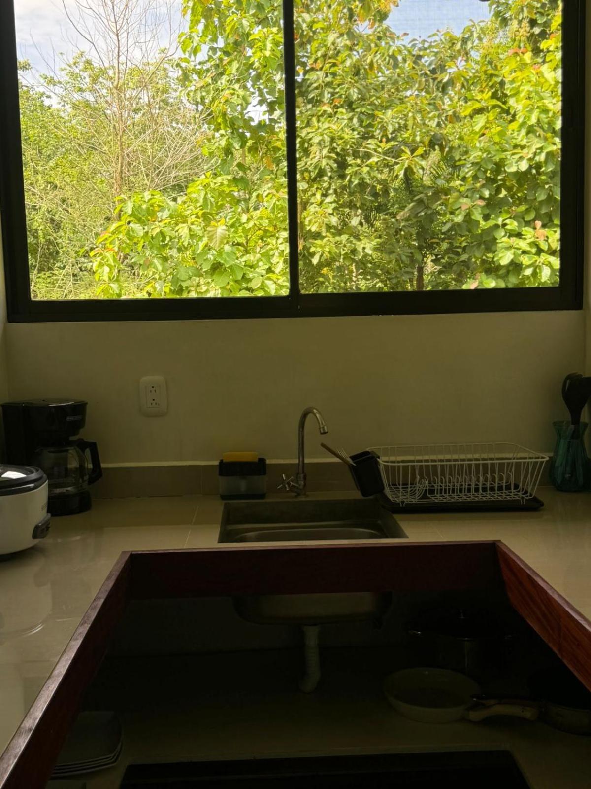 Luz De Estrella Studios Cabuya  Exterior photo